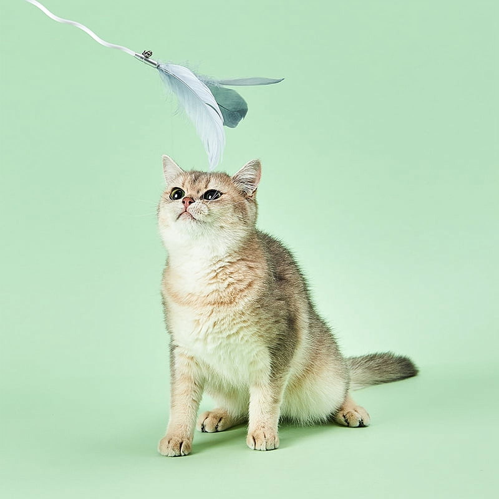 Instachew Cat Bingo Stick Toy, White