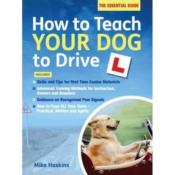 How to Teach Your Dog to Drive