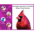thumbnail image 5 of Pennington Ultra Fruit & Nut Blend, Dry Wild Bird Seed and Feed, 6 lb., 1 Pack Bag, 5 of 11