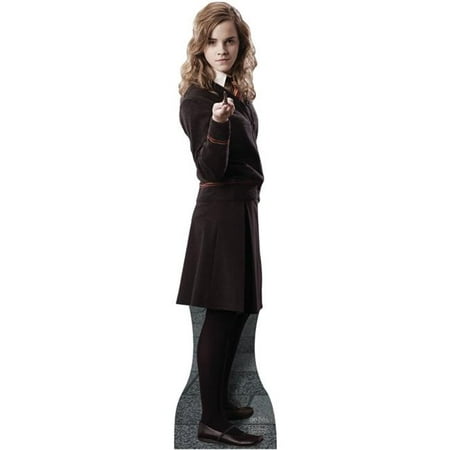 UPC 082033008840 product image for Advanced Graphics Harry Potter Ron Weasley Cardboard Stand-Up | upcitemdb.com