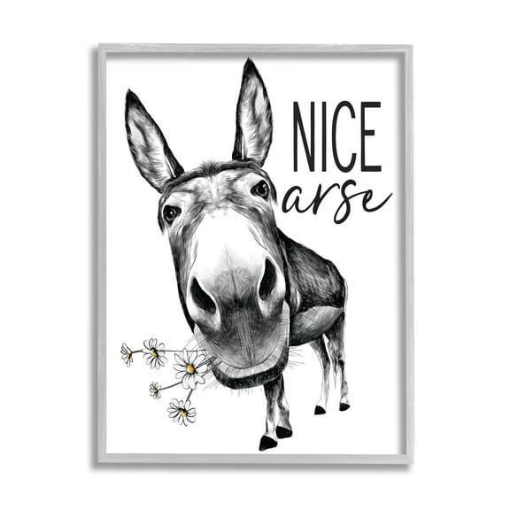 Stupell Industries Nice Arse Funny Donkey Pun White Daisey Flowers Novelty Painting Gray Framed Art Print Wall Art, 11 x 14, Design by Lettered and Lined