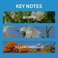 thumbnail image 3 of Pgyong Clearance! Perfume Refreshing and Long Lasting Light Perfume Roll Perfume Party Perfume 10ml, 3 of 4