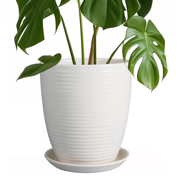 Ordivic 8 Inch White Ribbed Ceramic Plant Pot with Saucer, Round Planter with Drainage Hole, Modern Glossy Indoor Outdoor Flower Pot for Houseplants, Succulents, Ferns, Monstera Decor