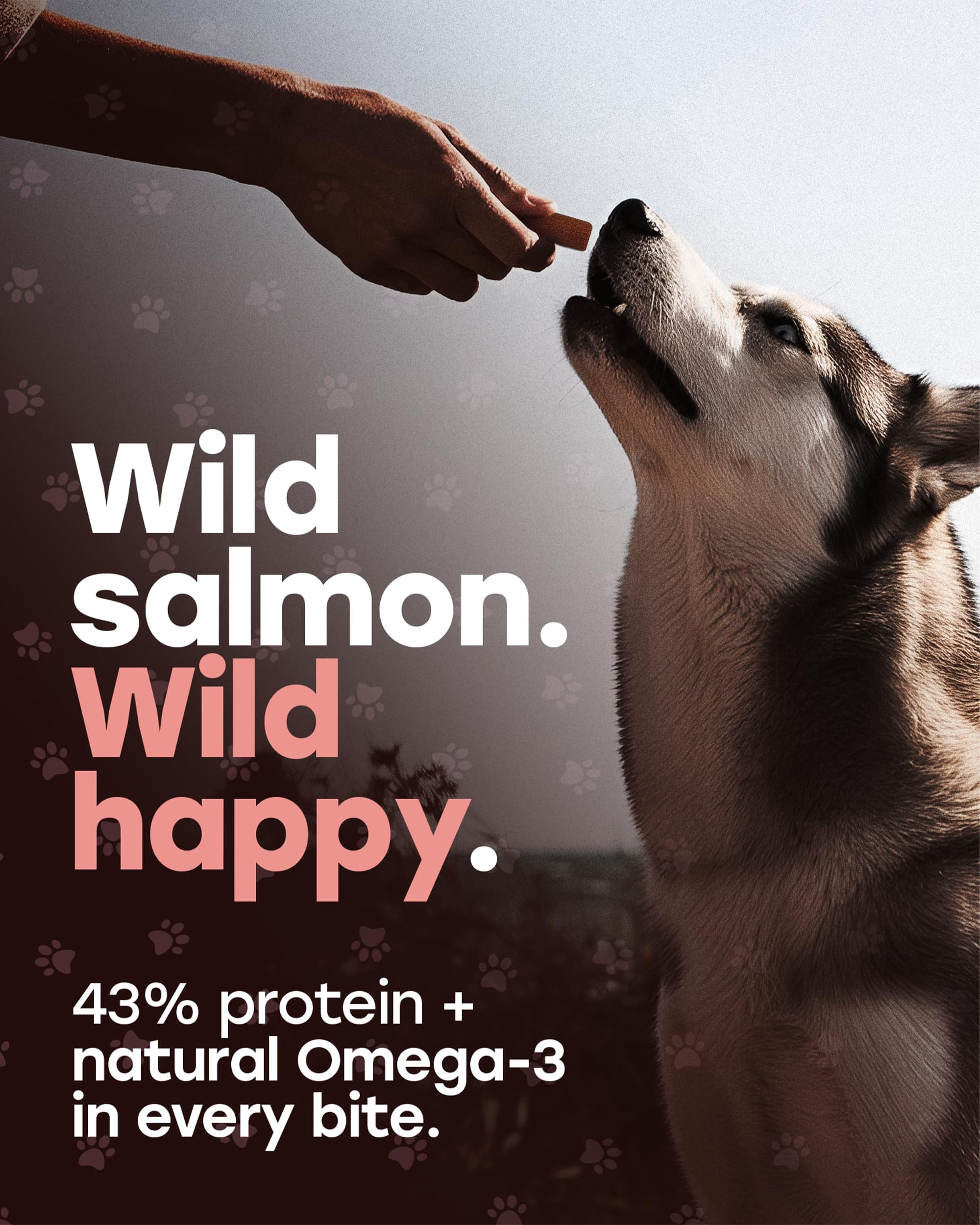 Pup Choice Freeze-Dried Salmon Dog Treats – Single Protein, Grain-Free Training Treats with Sweet Potato, High-Protein Meal Topper, Natural Salmon, 5.5 oz (300 Count)