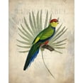 thumbnail image 2 of Kimberly, Allen 15x18 White Modern Wood Framed Museum Art Print Titled - Parrot 1, 2 of 4