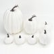 thumbnail image 1 of Decoración de calabaza de otoño | 7 piezas de calabazas falsas grandes para decoración de otoño, calabazas artificiales de espuma sintética para otoño, Halloween, Acción de Gracias, decoraciones al, 1 of 5