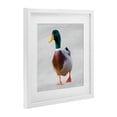 thumbnail image 3 of Stupell Industries Mallard Duck Squawking White Framed Print Under Glass design by Renel Peters, 13 x 13, 3 of 10
