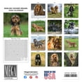 thumbnail image 3 of 2025 2026 English Cocker Spaniel Calendar - Dog Breed Monthly Wall Calendar - 12 x 24 Open - Thick No-Bleed Paper - Giftable - Academic Teacher's Planner Calendar Organizing & Planning - Made in USA, 3 of 8