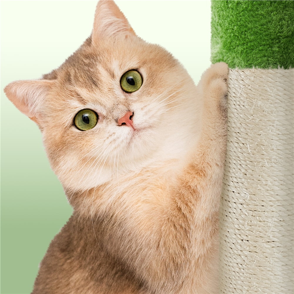 Alden Design 23in 2-Level Cat Tree Condo with Scratch Posts, Green