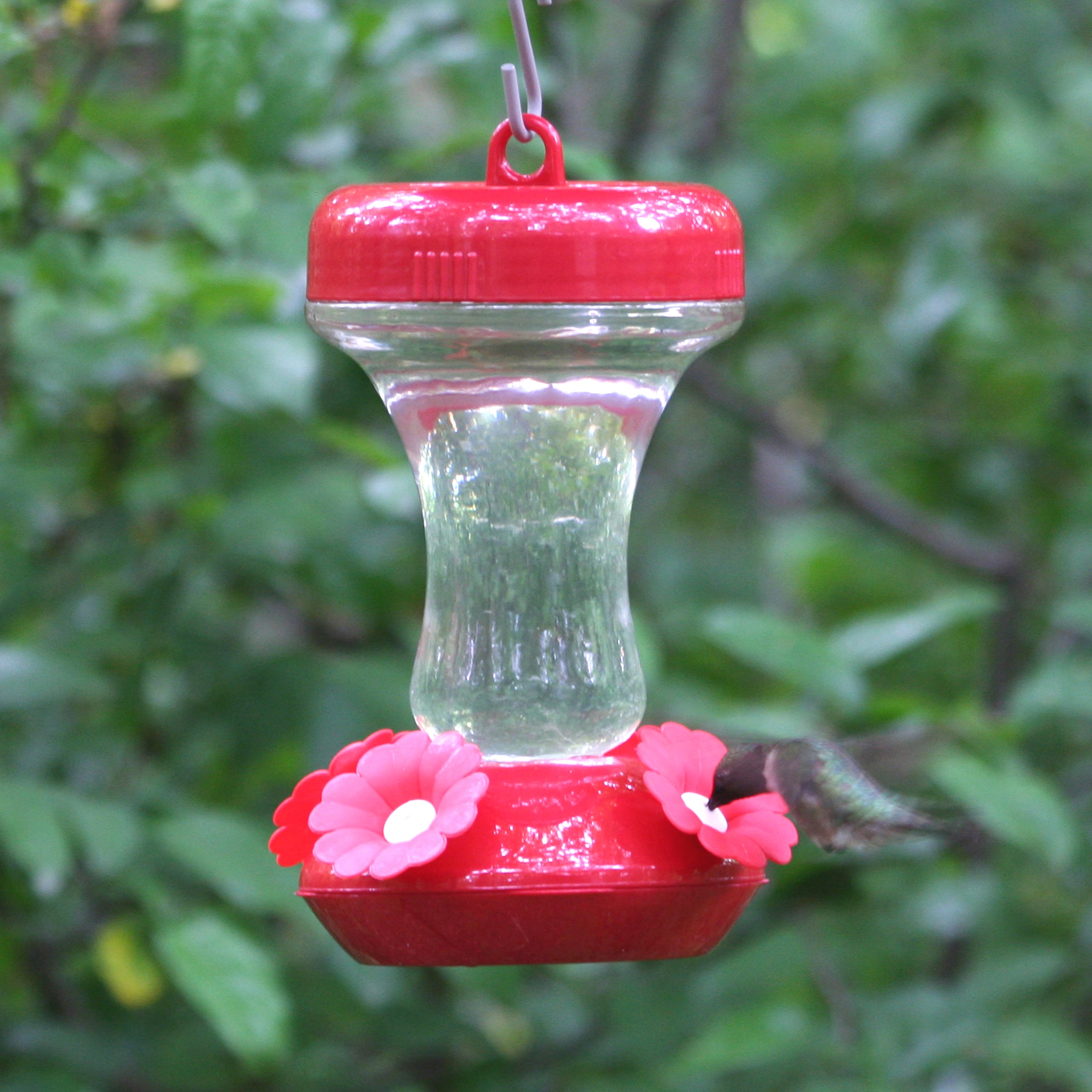Perky Pet 8 Oz Glass Top Fill Hummingbird Feeder Walmart Com
