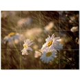 thumbnail image 1 of Flower Photo Ceramic Tile Mural Kitchen Backsplash Bathroom Shower 404851-S43, 1 of 3