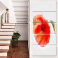 thumbnail image 1 of Large Red Poppy on White Back - Flower Artwork on Canvas, 1 of 4
