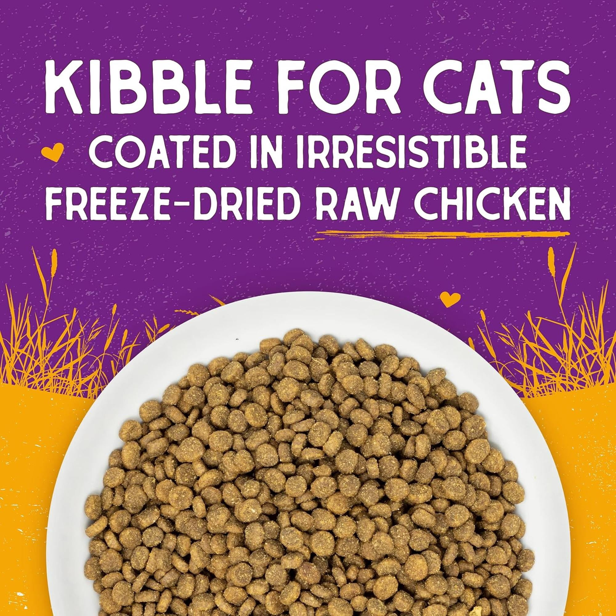 Stella & Chewy's Baked Kibble for Cats - Raw Coated Cage-Free Chicken Recipe - 10 Pound Bag