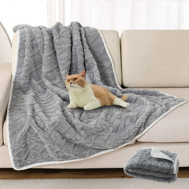 Couch throw for clearance dogs