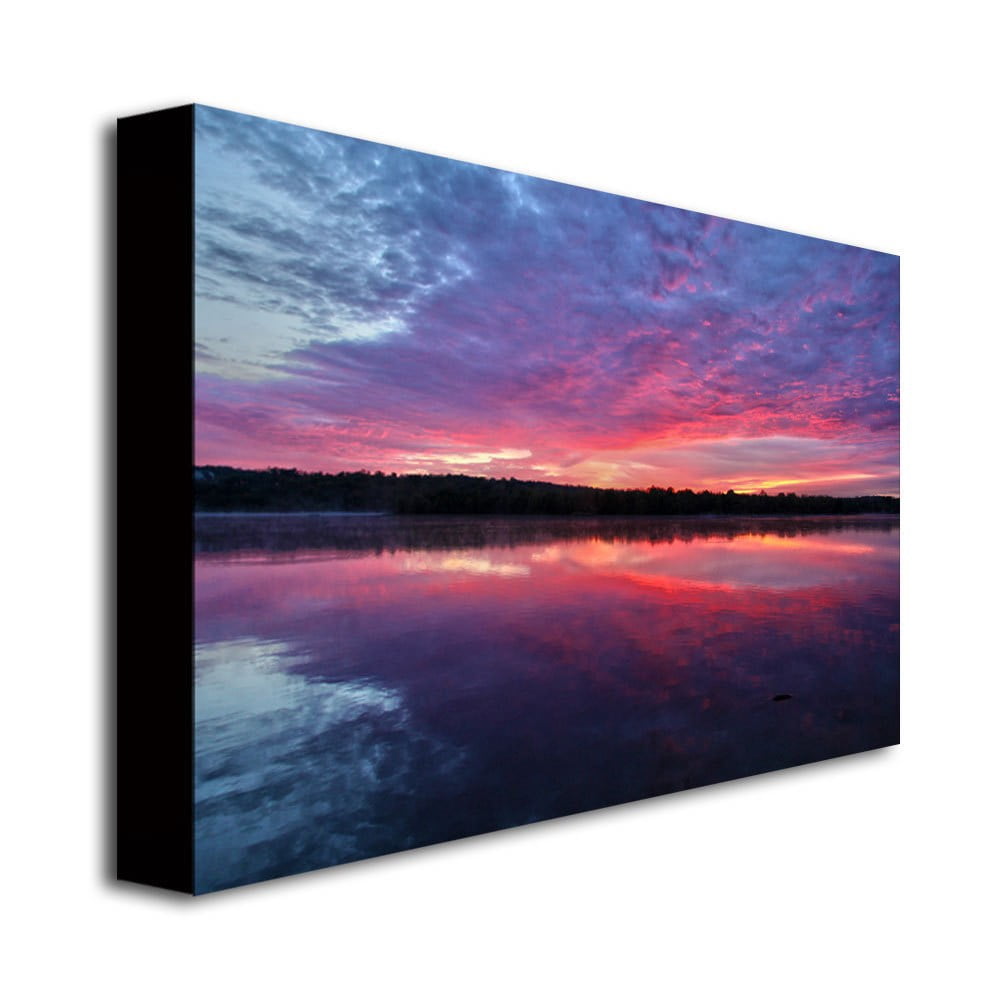 Trademark Art "The Mystery" Canvas Wall Art by CATeyes