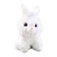 thumbnail image 1 of Muñecos de peluche Animales de peluche Juguetes Simulación Animal Lindo Imitación Animales Muñeca Wmkox8yii shdjk7031, 1 of 1