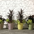 thumbnail image 6 of Crescent Garden Madison Indoor and Outdoor Planter 14" - Weathered Terracotta, 6 of 7