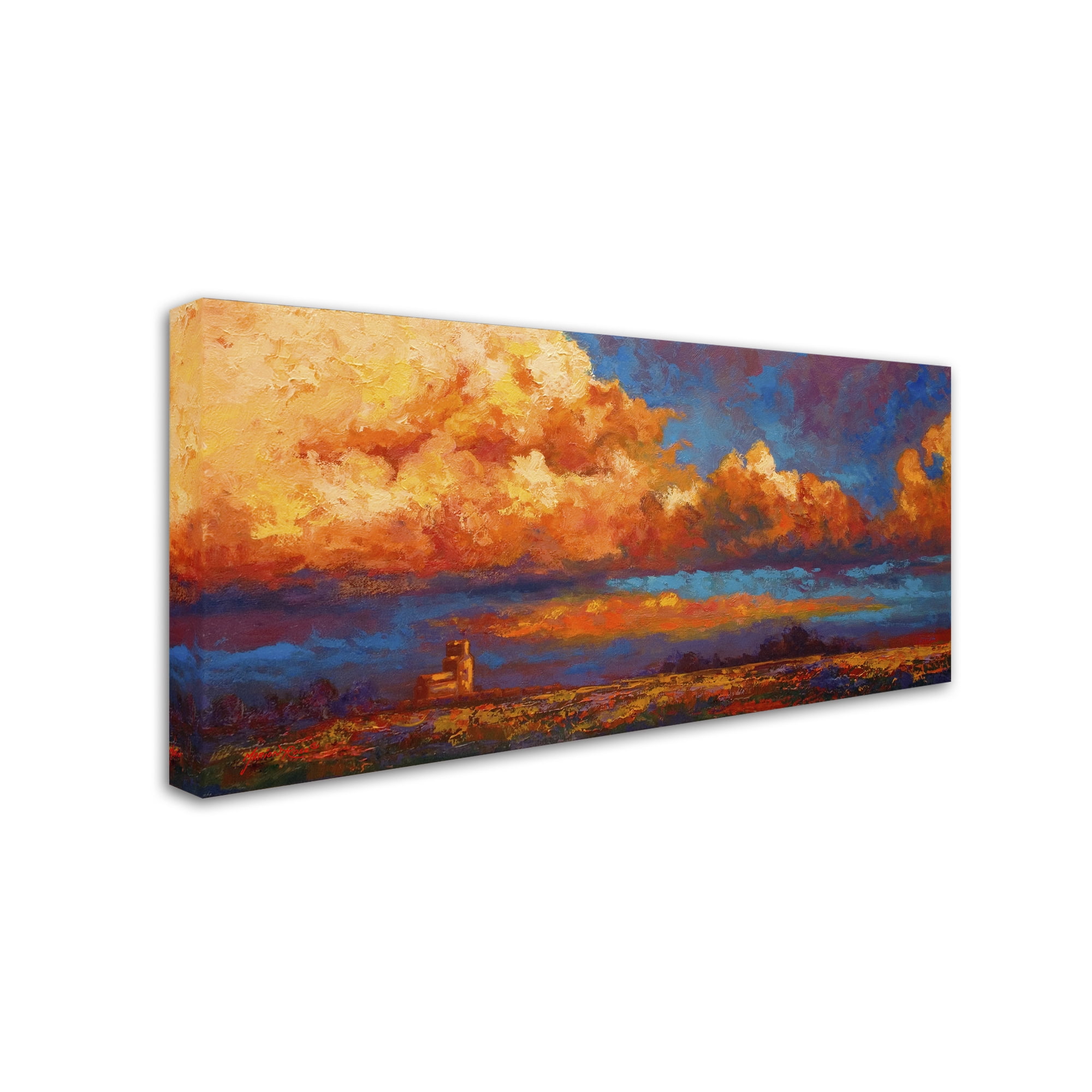 Trademark Fine Art 'Sky' Canvas Art by Marion Rose