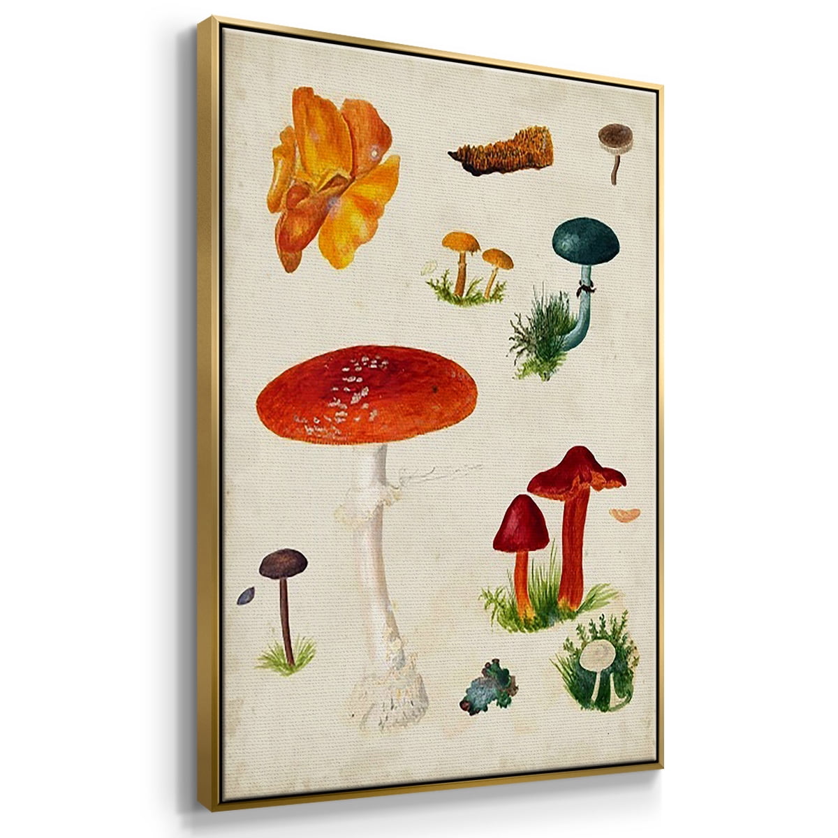Mushroom Species VI - Framed Premium Gallery Wrapped Canvas L Frame 3 Piece Set - Ready to Hang