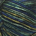 thumbnail image 2 of Caron® Simply Me Luster™ #4 Worsted (Medium) Blend Yarn, Adventurine 6oz/170g 360 Yards (2 Pack), 2 of 6