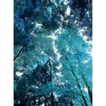 thumbnail image 2 of Scott, Derek 12x14 Black Ornate Wood Framed with Double Matting Museum Art Print Titled - Blue Forest I, 2 of 4