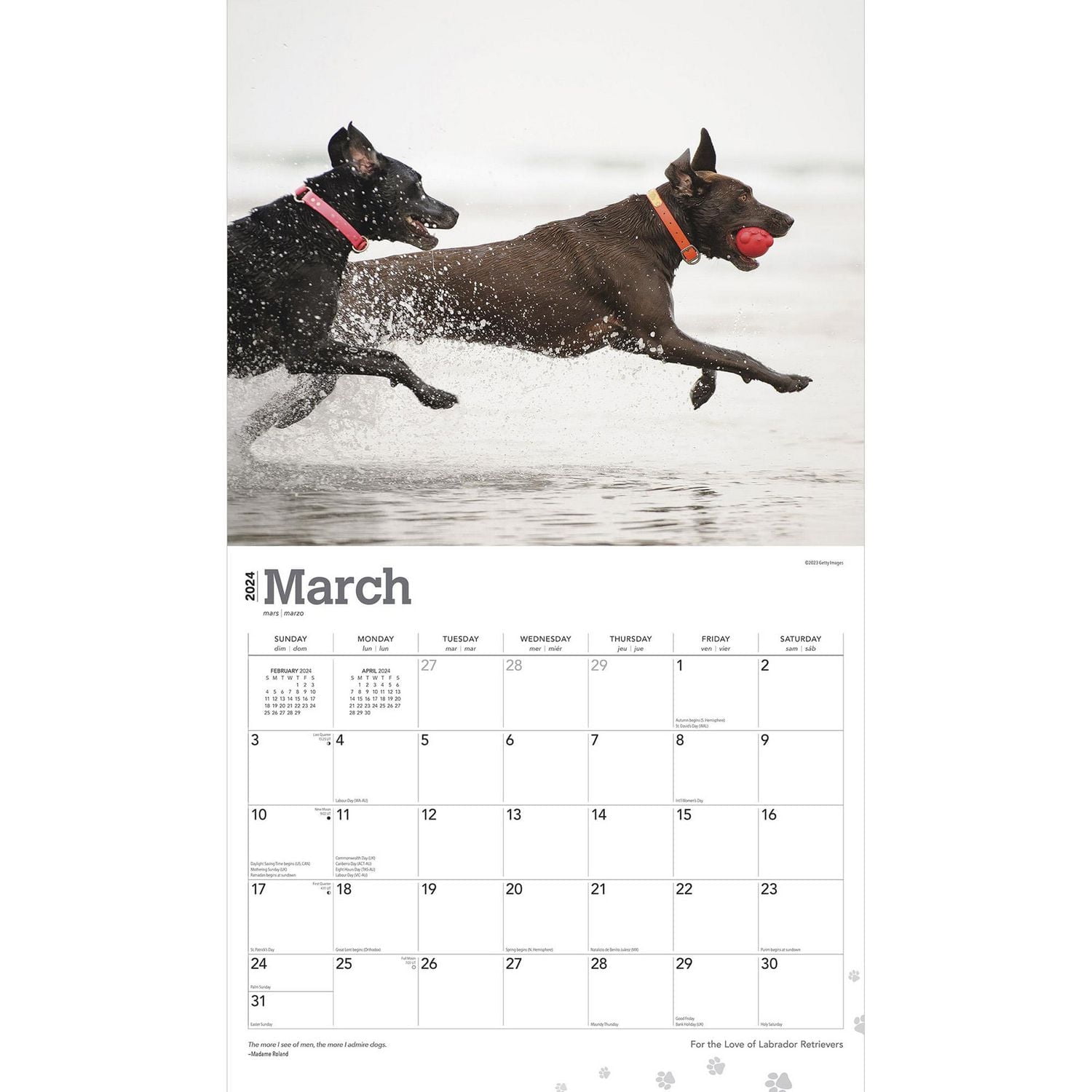 Labrador Retrievers, pour l'amour des 2024 35.56x60.96 CM Mur Deluxe Calendrier, 9781975468613