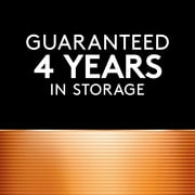 Duracell 376/377 Silver Oxide Button Battery for Home Devices, 2 Count