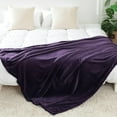 thumbnail image 4 of Fleece Blanket Soft Cozy Twin Size Blankets-Warm Fuzzy Lightweight Bed Throw Purple 60"x80", 4 of 6