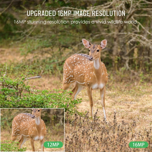 Trail Trail Camera 16MP 4K Cámara de Caza de Juegos Impermeable Con Visión Nocturna para la Caza de Monitoreo de Vida Silvestre