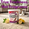 thumbnail image 5 of Capture Carpet Cleaner Kit with Dry Powder, Pre-Mist, Brush, Fresh Scent, 2.5 Pounds, 5 of 12