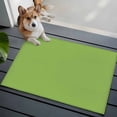 thumbnail image 4 of Fruit Green Area Rugs 2x3 for Living Room, Farmhouse Solid Green Color Modern Art Non Slip Washable Rug Runner, Low Pile Indoor Floor Carpet Mat Bathroom Rugs for Bedroom, Kids Room, 4 of 9