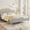 Full-Grey, variant on Queen Size Upholstered LED Bed Frame with Adjustable Headboard and Footboard, Velvet Princess Platform Bedframe for Girls, Wooden Slats Support, No Box Spring Needed, Easy Assembly, Pink