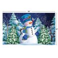 thumbnail image 5 of Briarwood Lane Doormat 30x18 Indoor Outdoor Snowfall Celebration Winter For Winter Doormat, 5 of 5