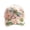 Dragonfly and Lotus, variant on Limited Edition 2026 Garden Morning Baseball Cap,Botanical Dragonfly Printed Baseball Cap,Lightweight Adjustable Casual Outdoor Sun Hat for Men & Women(B)