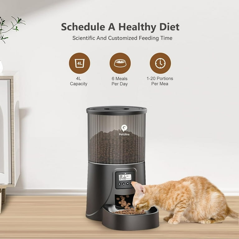 Nourriture Pour Chat What Is The Best Automatic Cat Food Dispenser