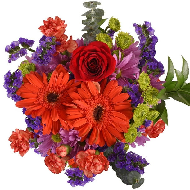 Blazing Mixed Bouquet Fresh Cut Flowers 10 Pack Red Purple By Bloomingmore Walmart Com Walmart Com