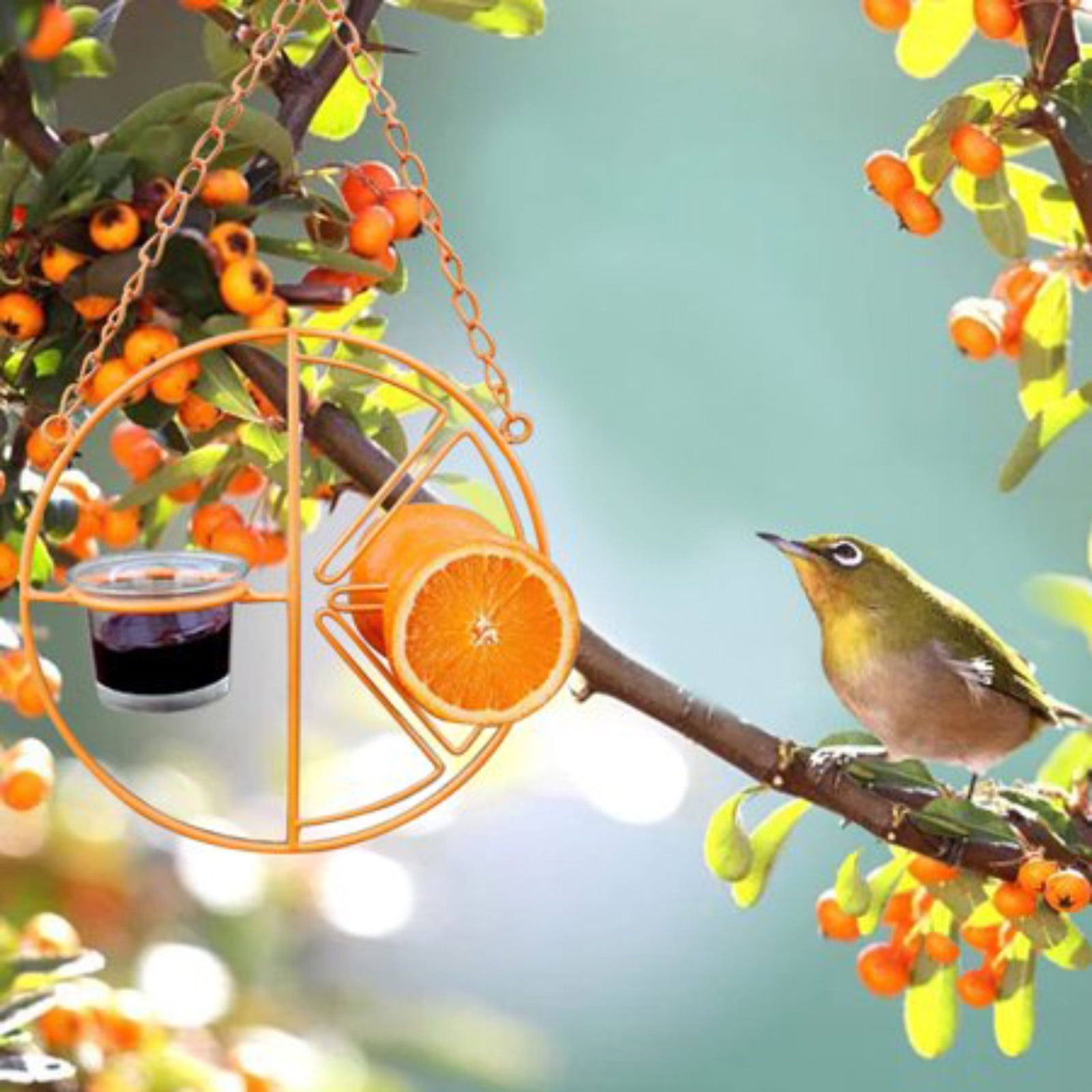 Herrnalise Oriole Bird Feeder, 2 Types Food, Orange Halves Fruit, Drinking Nectar and Grape