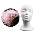thumbnail image 4 of TISHITA Mannequin Head Model DIY Photography Props Display Rack Lightweight Manikin Head White, 4 of 8