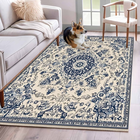 Blue Boho Area Rug 4x6 Washable Rug Non Slip Rustic Southwestern Ethnic Geometric Large Area Rug Indoor Floor Carpet for Entryway Bedroom Kitchen Living Room Home Office Dining Room Nursery