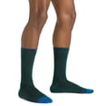 thumbnail image 3 of Darn Tough Men's Solid Crew Light Sock, 3 of 3