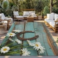 thumbnail image 2 of Daisy Flower Outdoor Rug for Patio/Deck/Porch, Non-Slip Large Area Rug 3 x 5 Ft, Vintage Horseshoes Farmhouse Wooden Grain Teal Indoor Outdoor Rugs Washable Area Rugs, Camping Rug Carpet Runner, 2 of 8