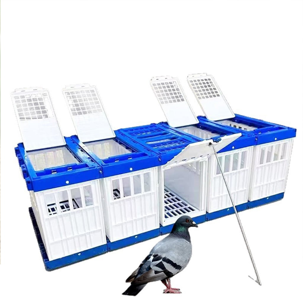 WINDLAND Foldable Bird Cage Durable Plastic Carriers for Race Pigeons Baby Parrots Outdoor Exercise