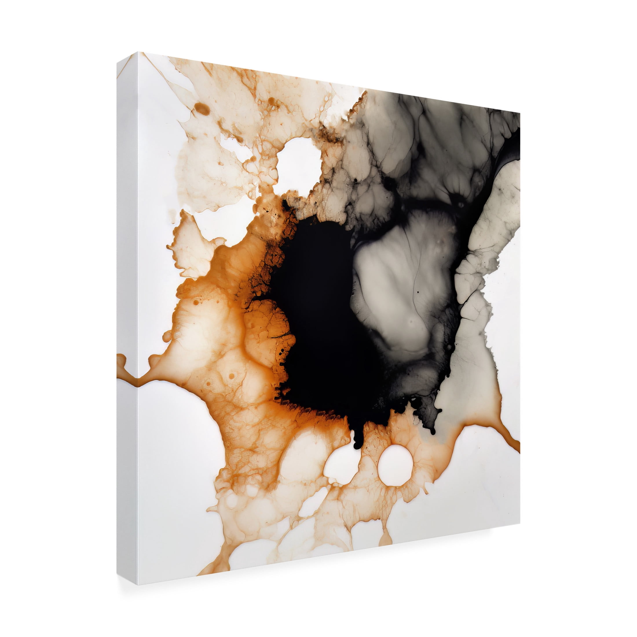 Canvas Wall Art - Bilge Paksoylu 'Dreamy Ink 2' Wall Art for Living Room, Bedroom, or Office D?cor by Trademark Fine Art - 24 x 24 Inches