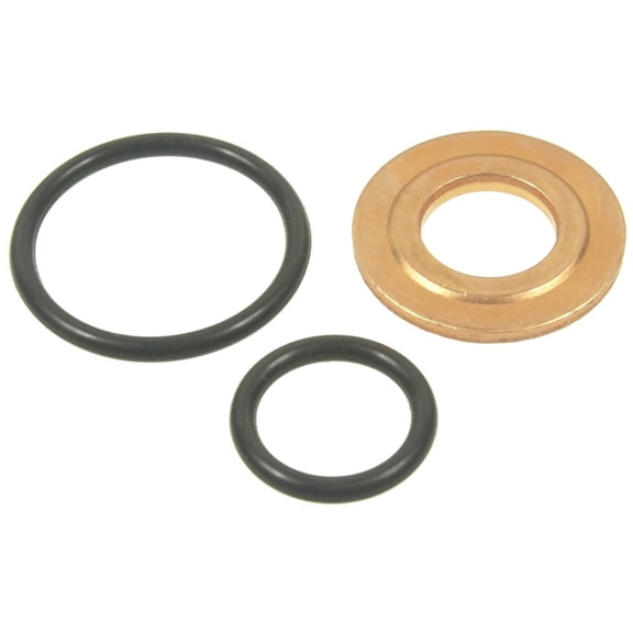 Standard Motor Products SK66 Fuel Injector Seal Kit - TBI