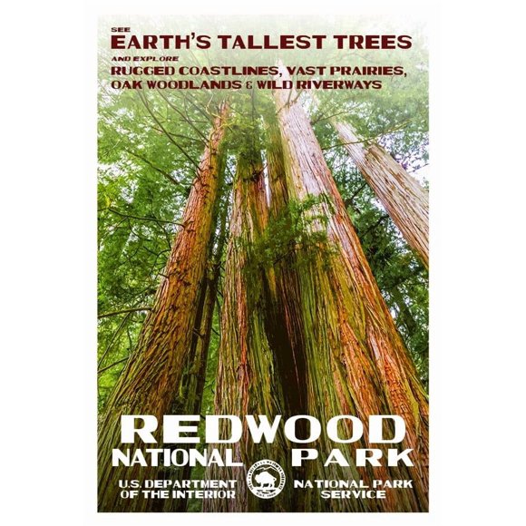 National Park Posters Redwood National Park, Add Some Retro Flair To Your Home - Original Vintage National Park Decor Design by Robert B. Decker - 100% Recycled Material - Unframed - 13" x 19"