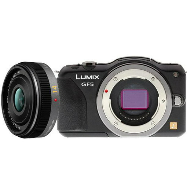 Lil Centimeter Hamburger Panasonic Lumix DMC-GF5 Digital Camera with 14mm 2.5G Lens Black -  Walmart.com