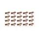 thumbnail image 1 of Pack de 20 Galletas La Moderna Sauris Chocolat de 324 grs La Moderna Sauris Chocolate, 1 of 3