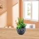 thumbnail image 5 of Flores artificiales, suculentas artificiales, plantas combinadas en macetas, decoraciones para el hogar, plantas verdes artificiales, 5 of 5