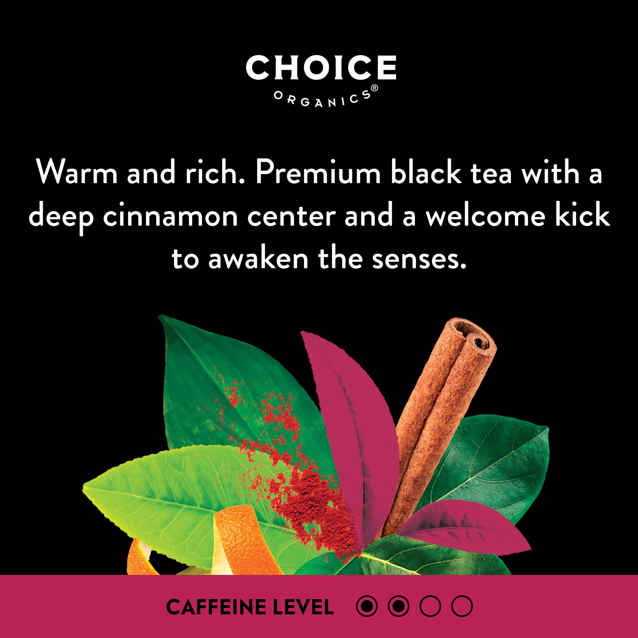 Choice Organics – Organic Spicy Cinnamon Chai Tea (6 Pack) – Rainforest Alliance – Contains Caffeine – 96 Organic Black Tea Bags
