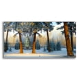 thumbnail image 1 of Epic Art 'Nature Collection 23' by Ata Alishahi, Acrylic Glass Wall Art, 48"x24", 1 of 8